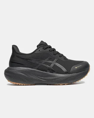 Asics Gel-Kayano 30 Gore-Tex Black — головне фото товару
