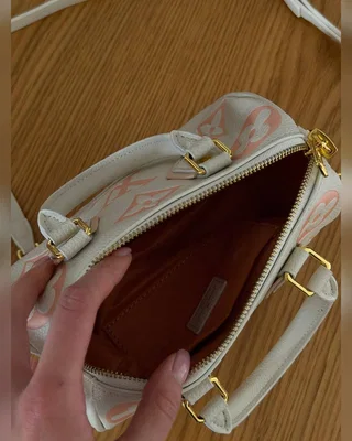 Louis Vuitton Speedy Bandoulière 20 Bicolor Pink Beige 21 x 17 x 11 — головне фото товару