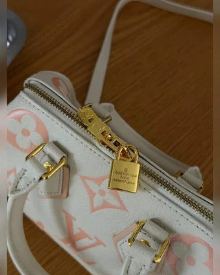Louis Vuitton Speedy Bandoulière 20 Bicolor Pink Beige 21 x 17 x 11 — головне фото товару