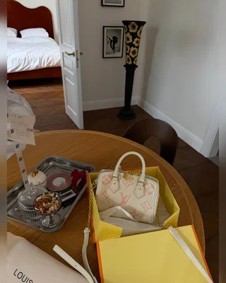 Louis Vuitton Speedy Bandoulière 20 Bicolor Pink Beige 21 x 17 x 11 — головне фото товару