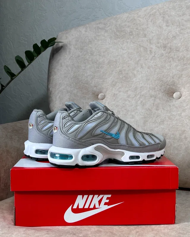 Nike Air Max TN Grey "Waterproof" — головне фото товару