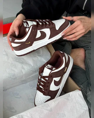 Nike SB Dunk Low Sail Red Sepia Metallic Gold — головне фото товару