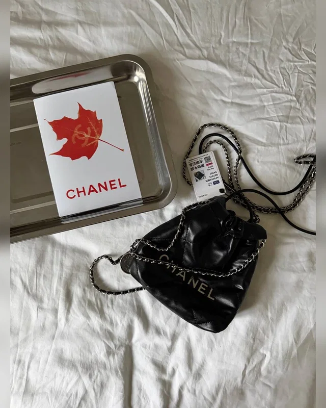 Chanel Black Quilted Calfskin Mini 20 Bag Silver Hardware — головне фото товару