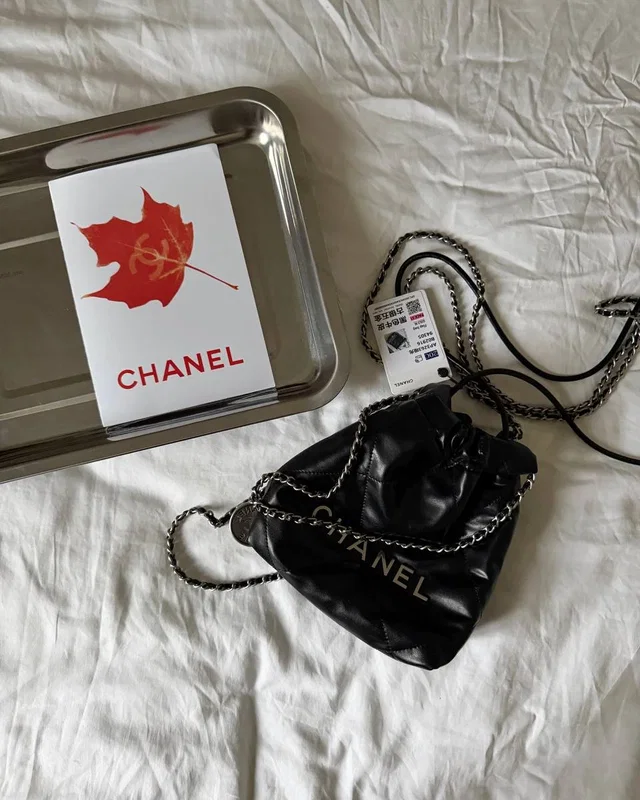 Chanel Black Quilted Calfskin Mini 20 Bag Silver Hardware — головне фото товару