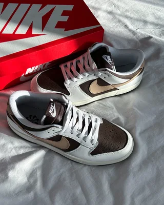 Nike Dunk Low Next Nature 'Summit White Baroque Brown' HF4292-100 — головне фото товару