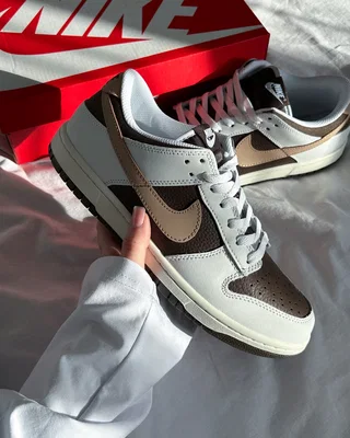 Nike Dunk Low Next Nature 'Summit White Baroque Brown' HF4292-100 — головне фото товару