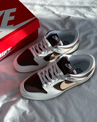 Nike Dunk Low Next Nature 'Summit White Baroque Brown' HF4292-100 — головне фото товару