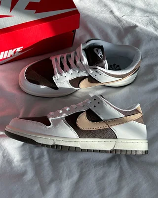 Nike Dunk Low Next Nature 'Summit White Baroque Brown' HF4292-100 — головне фото товару