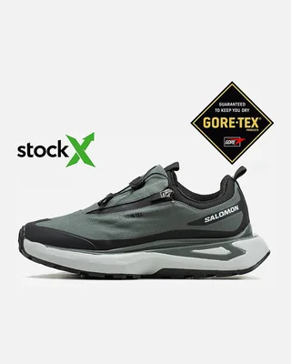 Salomon 1664 Salomon Odyssey Gore Tex Термо — головне фото товару