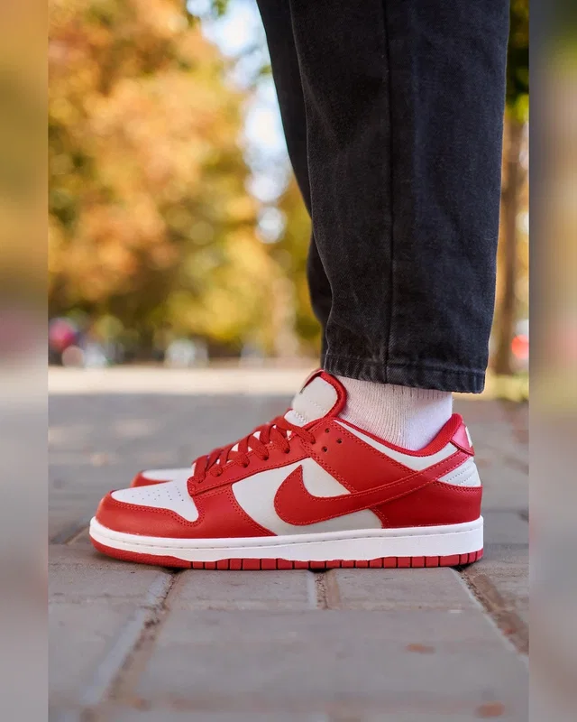 Nike SB Dunk Low Retro Medium Grey Red — головне фото товару