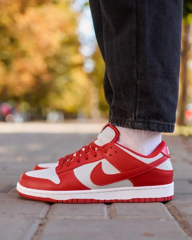 Nike SB Dunk Low Retro Medium Grey Red — головне фото товару