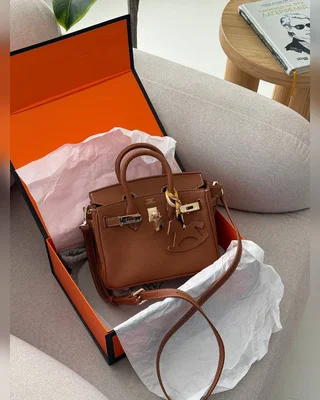 Hermes Hermès Birkin 20 Brown Gold (Магнітна коробка) — головне фото товару