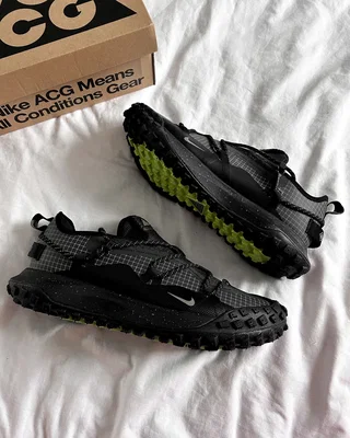 Nike ACG Mountain Fly 2 Low GTX 'Beige Dark Smoke Grey' HF6245-003 — головне фото товару