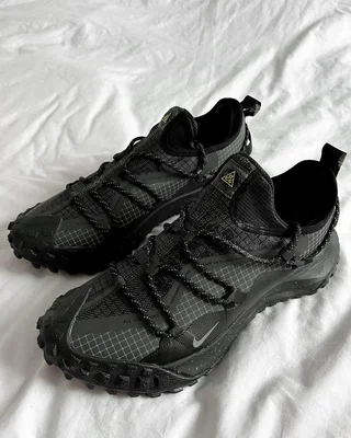 Nike ACG Mountain Fly 2 Low GTX 'Beige Dark Smoke Grey' HF6245-003 — головне фото товару