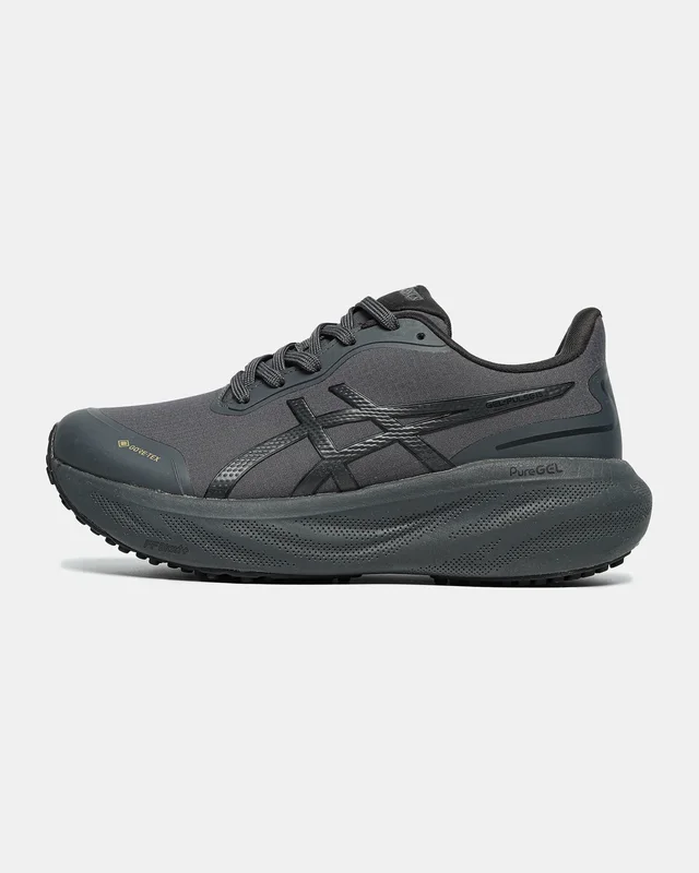 Asics Gel Kayano 30 Gore Tex Black blue — головне фото товару