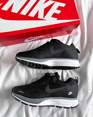 Nike Pegasus 26X Gore-Tex Black White — головне фото товару