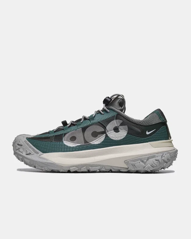 Nike ACG Mountain Fly Low 2 'Bicoastal' — головне фото товару
