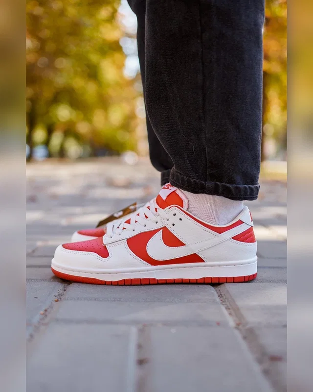 Nike SB Dunk Low Retro Red White — головне фото товару