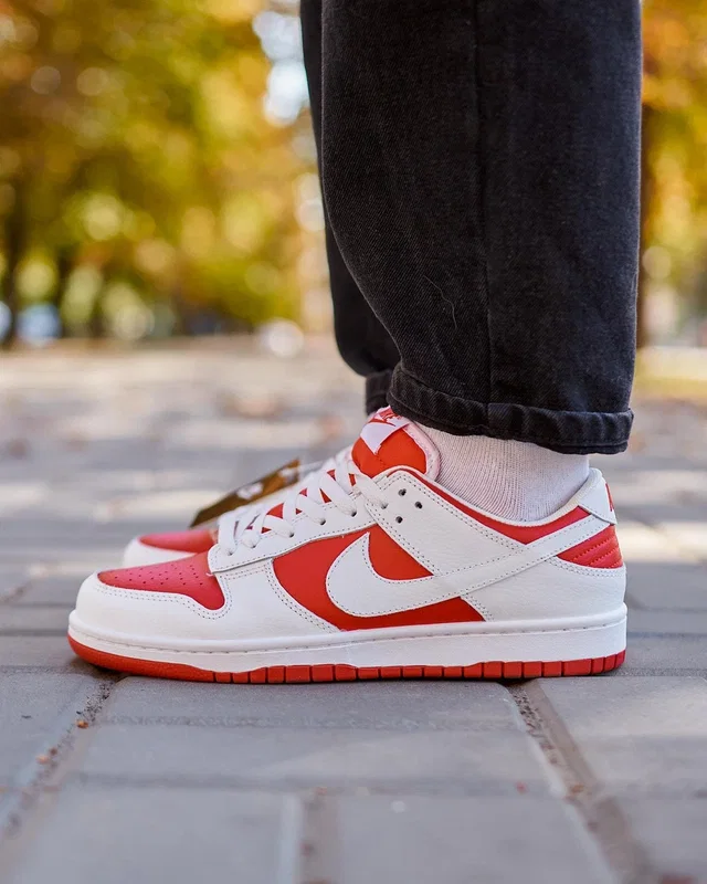 Nike SB Dunk Low Retro Red White — головне фото товару