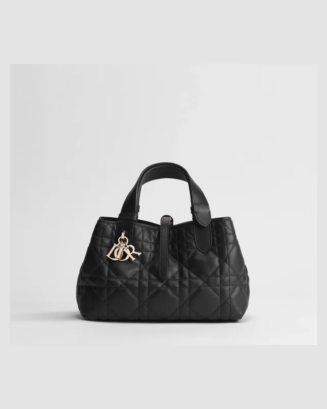 Dior Toujours bag — головне фото товару