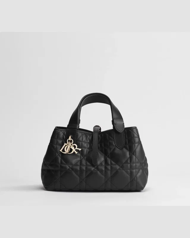 Dior Toujours bag — головне фото товару