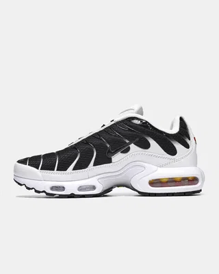 Nike Air Max Plus 'Black White' CT1094-102 — головне фото товару