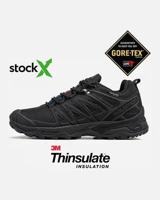 Salomon 1633 Salomon Speed Cross Pro Gore Tex Термо — головне фото товару
