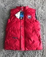 Жилет Canada Goose — головне фото товару