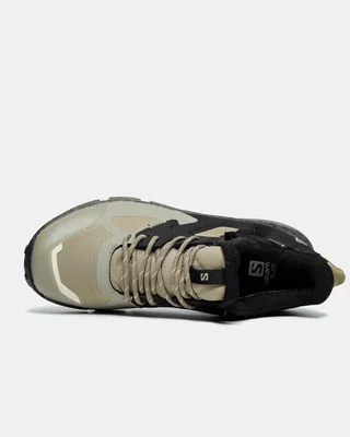 Salomon PREDICT HIKE GTX GORE-TEX — головне фото товару