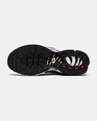 Nike Air Max Plus Black Silver White — головне фото товару