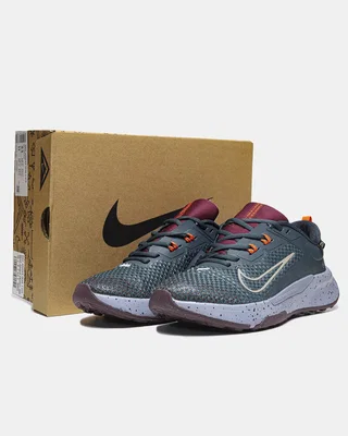 Nike Juniper Trail 2 GTX 'Deep Jungle' FB2067-300 — головне фото товару