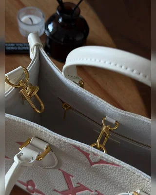 Louis Vuitton OnTheGo PM Bag in Bicolor Pink White 25 х 19 х 12 — головне фото товару