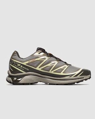 Salomon XT-6 Gore-Tex Vintage Khaki Brow — головне фото товару