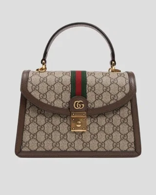Gucci canvas ophidia series Brown — головне фото товару