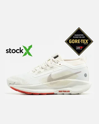 Nike 2505 Nike Pegasus Trail 5 Gore Tex — головне фото товару