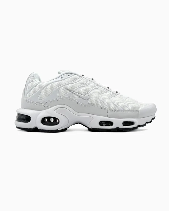 Nike Air Max TN White Grey — головне фото товару