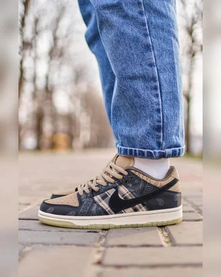 Nike x Cactus Jack SB Dunk Low Travis Scott Brown — головне фото товару