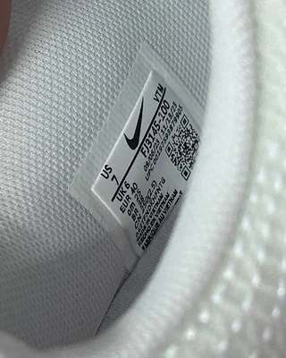 Nike Air Max DN 'White Metallic Silver' FJ3145-100 — головне фото товару