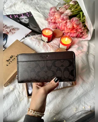 Coach Accordion Wallet Canvas Brown — головне фото товару