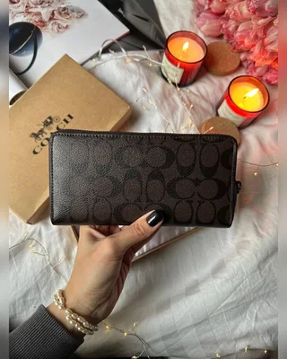 Coach Accordion Wallet Canvas Brown — головне фото товару
