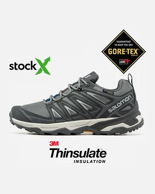 Salomon 2437 Salomon Speed Cross Pro Gore Tex Термо — головне фото товару