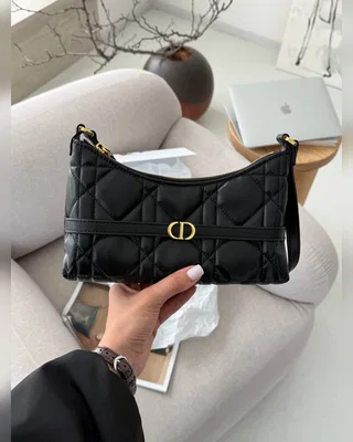 Dior Miss Caro Cigale Mini Bag Black [оригінальна коробка] 24 х 16 х 6 — головне фото товару