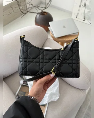 Dior Miss Caro Cigale Mini Bag Black [оригінальна коробка] 24 х 16 х 6 — головне фото товару