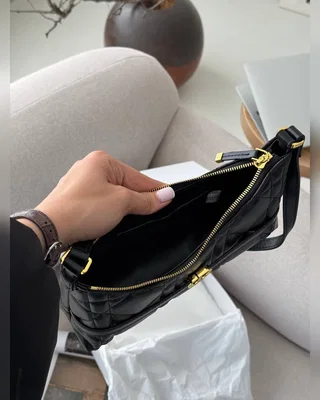 Dior Miss Caro Cigale Mini Bag Black [оригінальна коробка] 24 х 16 х 6 — головне фото товару