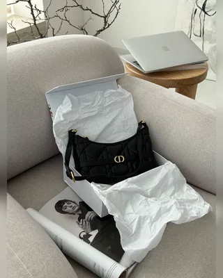 Dior Miss Caro Cigale Mini Bag Black [оригінальна коробка] 24 х 16 х 6 — головне фото товару