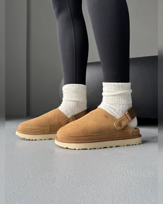 UGG Goldenstar Clog Chestnut Beige — головне фото товару