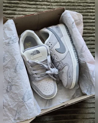 Nike x The North Face SB Dunk • Grey • — головне фото товару