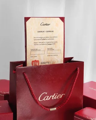 Прикраси Браслет Cartier Juste un Clou — головне фото товару