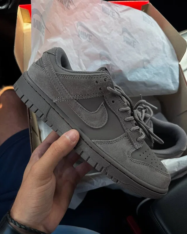 Nike Dunk Low Cave Stone — головне фото товару