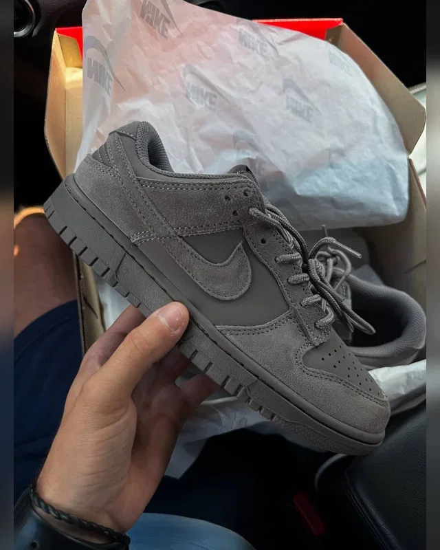 Nike Dunk Low Cave Stone — головне фото товару